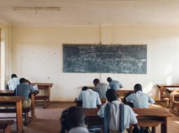 Public Education
