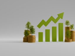 How Local Leaders Shape Regional Economic Growth Through Smart Action