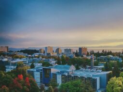 How Local Leaders Shape Regional Growth