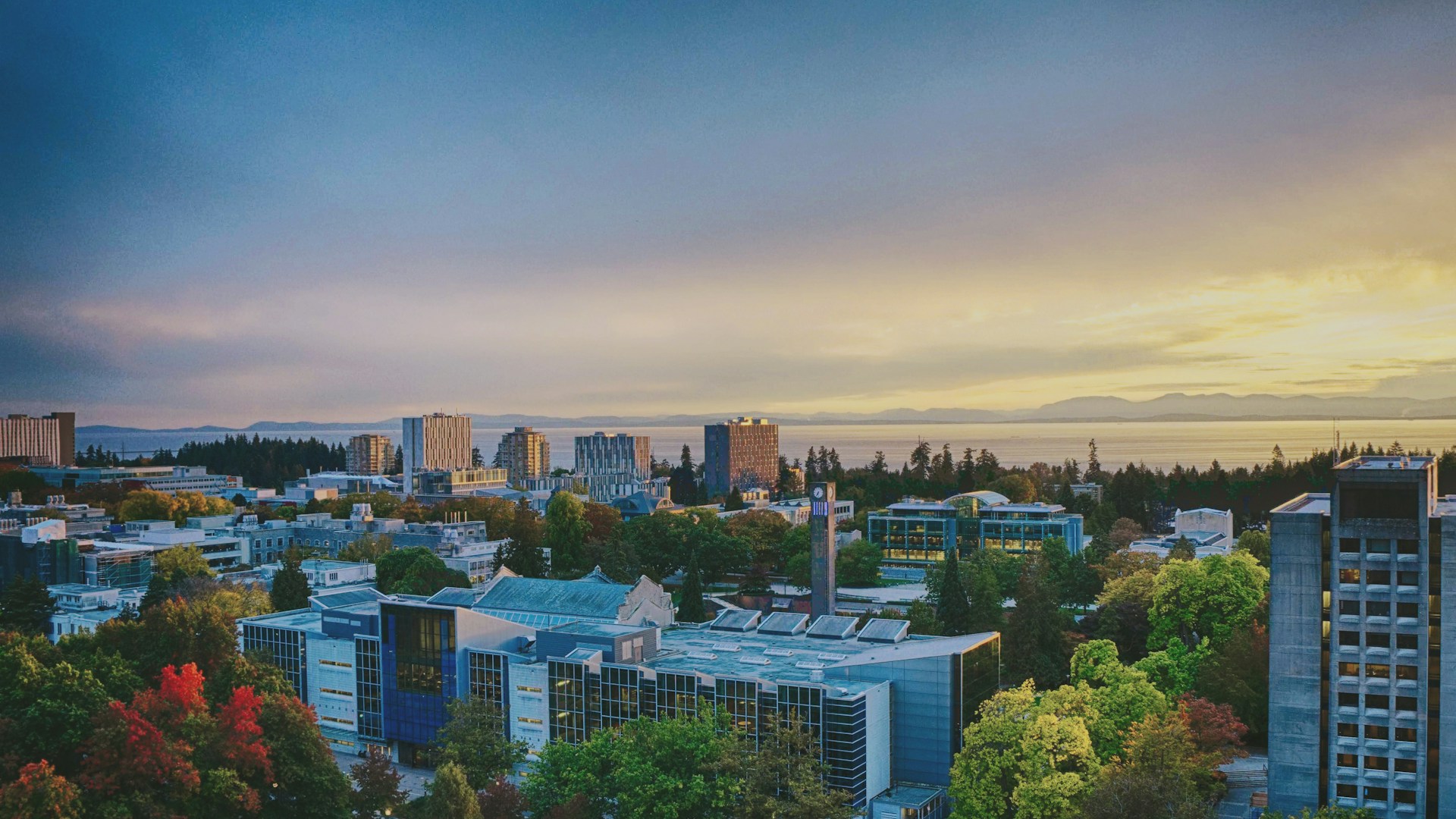 How Local Leaders Shape Regional Growth