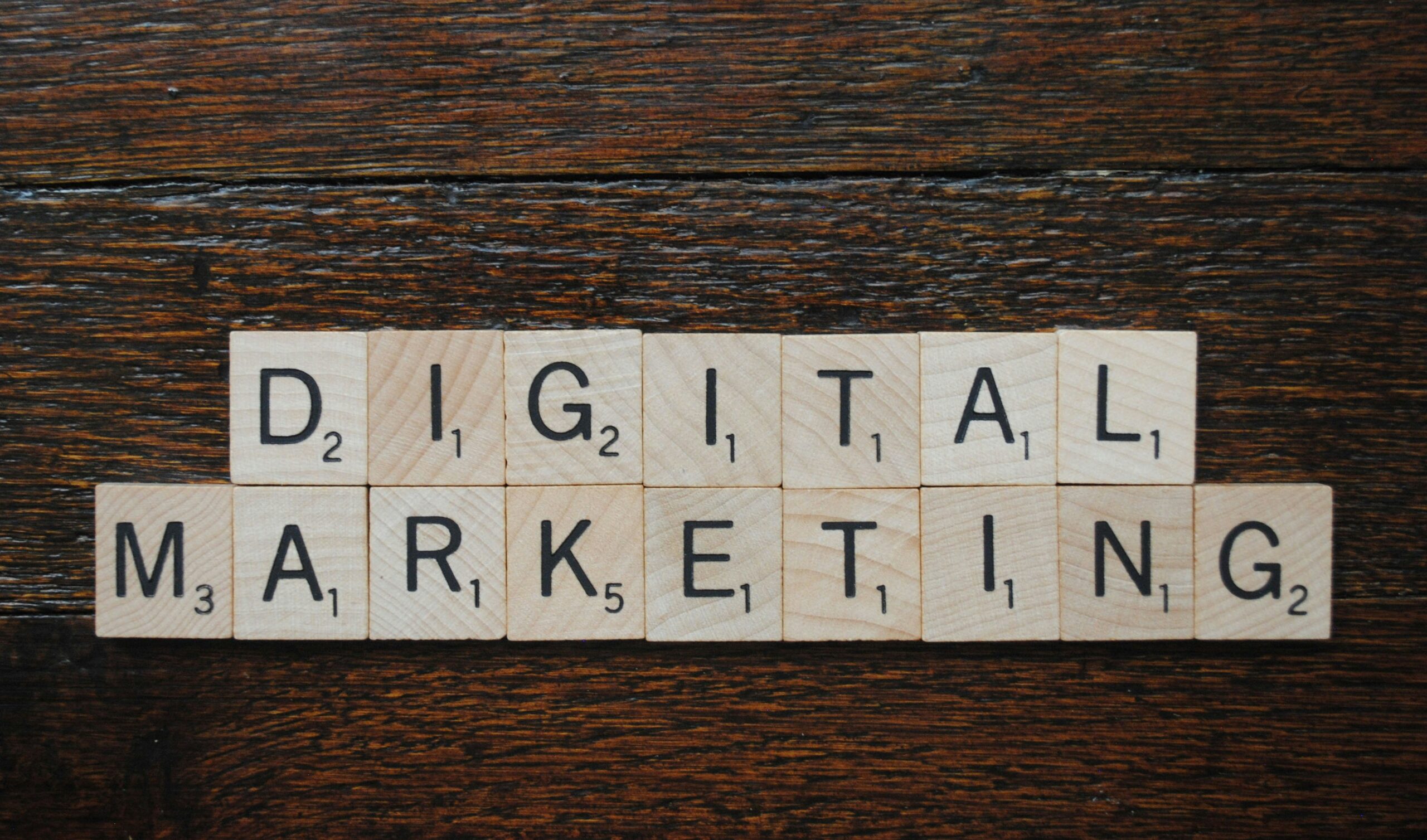 Scaling a Digital Platform to One Million Members A Practical Growth Roadmap